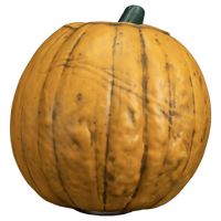 Sleepy Hollow Light up Pumpkin Prop