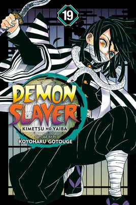 Demon Slayer: Kimetsu no Yaiba Vol. 19